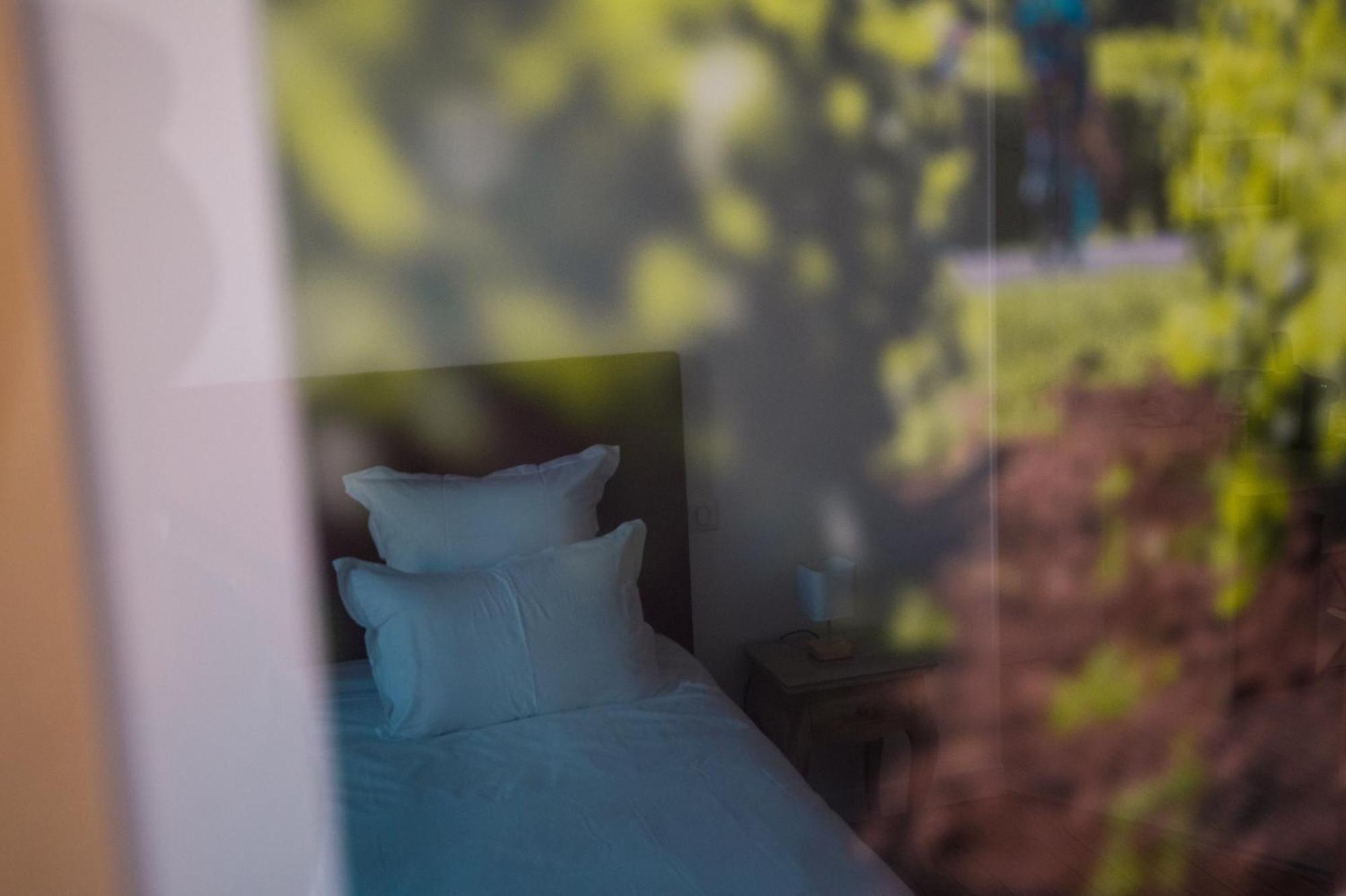 Cedreblanc Bed & Breakfast Saint-Emilion Ngoại thất bức ảnh